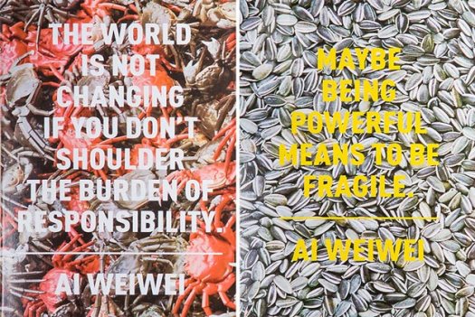 ai-weiwei-sk8room-skateboard-decks-2