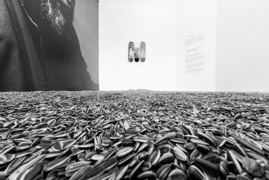 ai-weiwei-sk8room-skateboard-decks-5